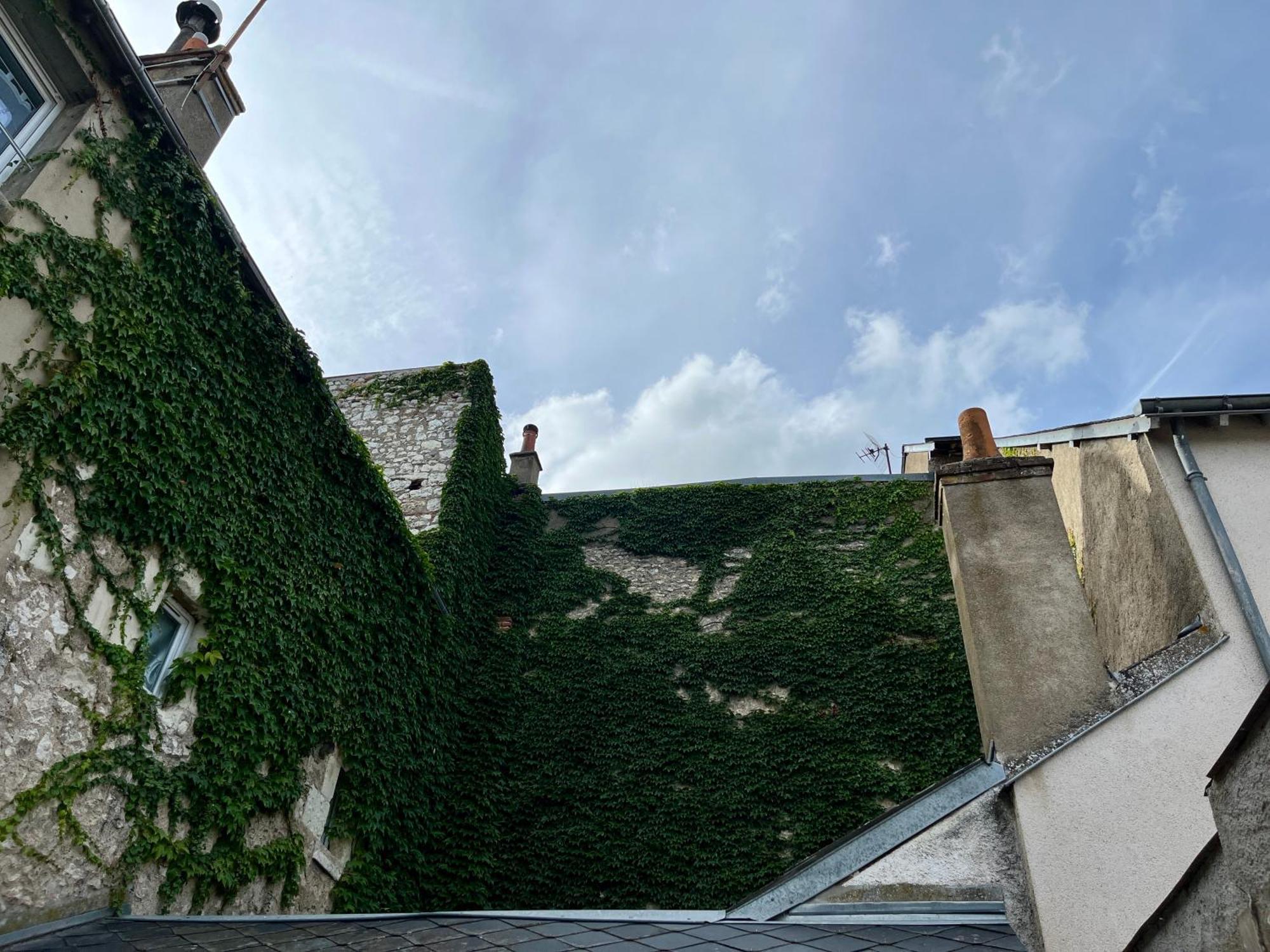 2 Suites, Cour Privee, Climatisation, Le Nid De Blois Vienne Ngoại thất bức ảnh